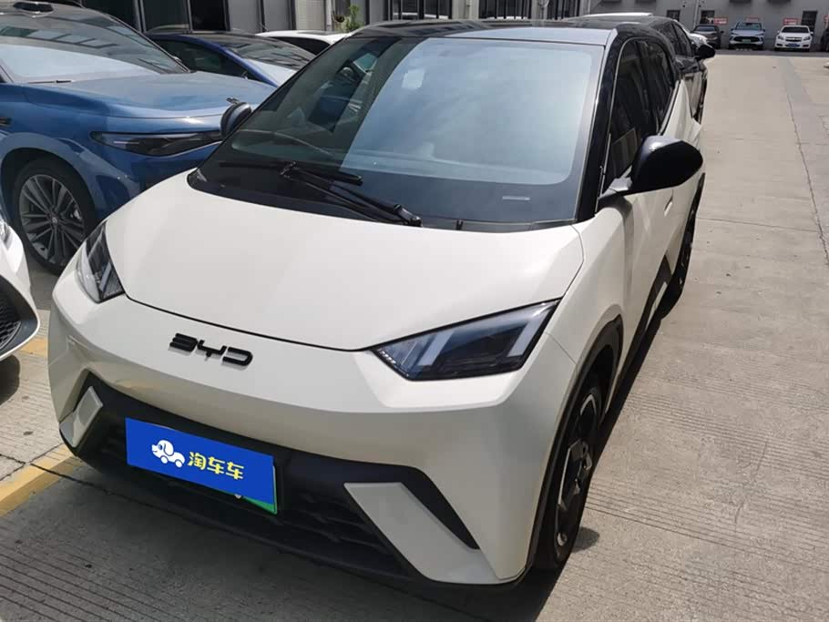 BYD Seagull