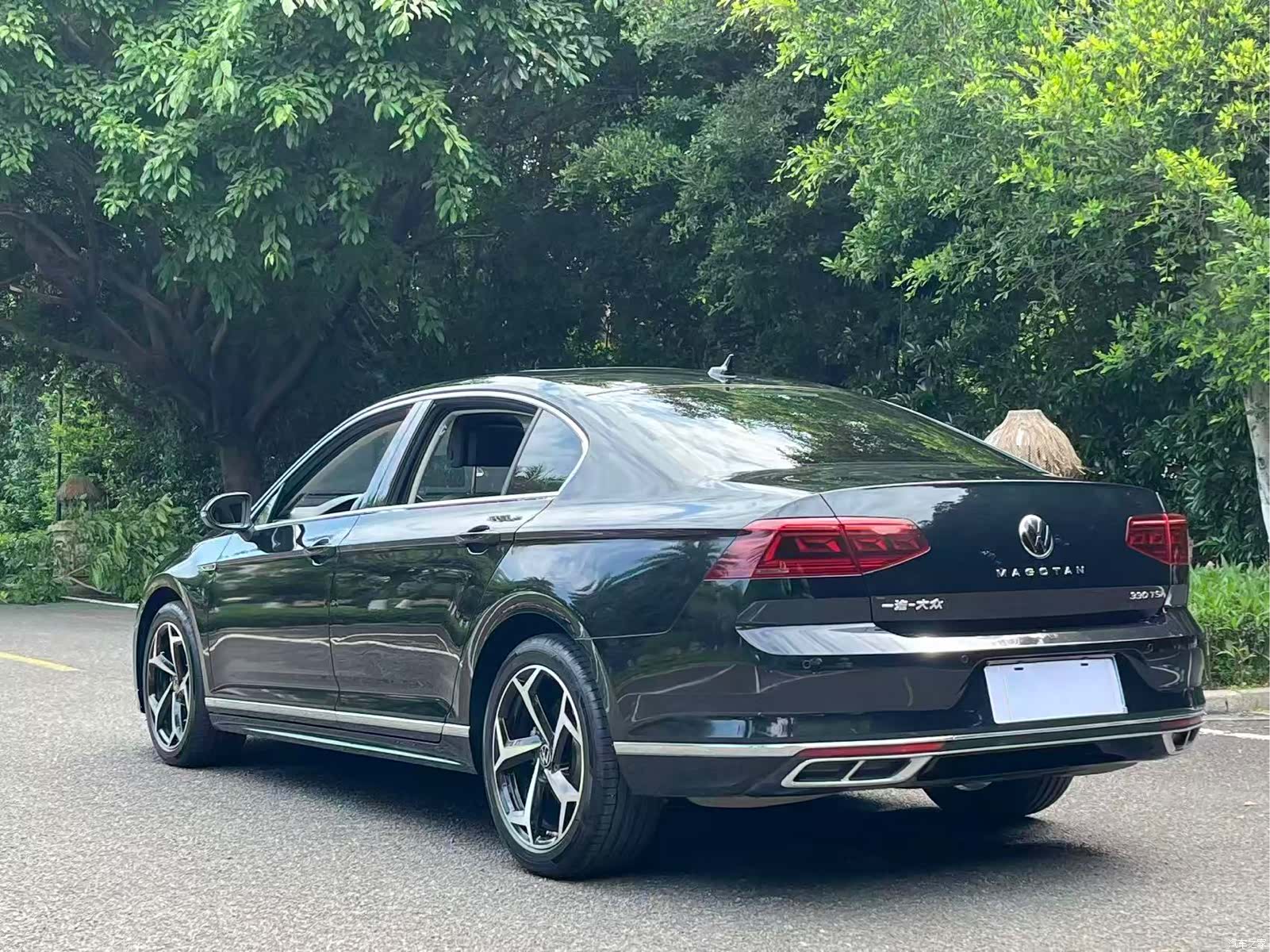 Volkswagen Magotan, 2024 7