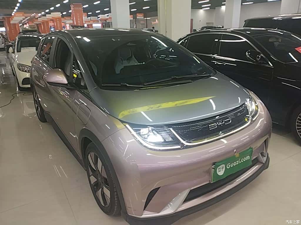 BYD Dolphin, 2022 4