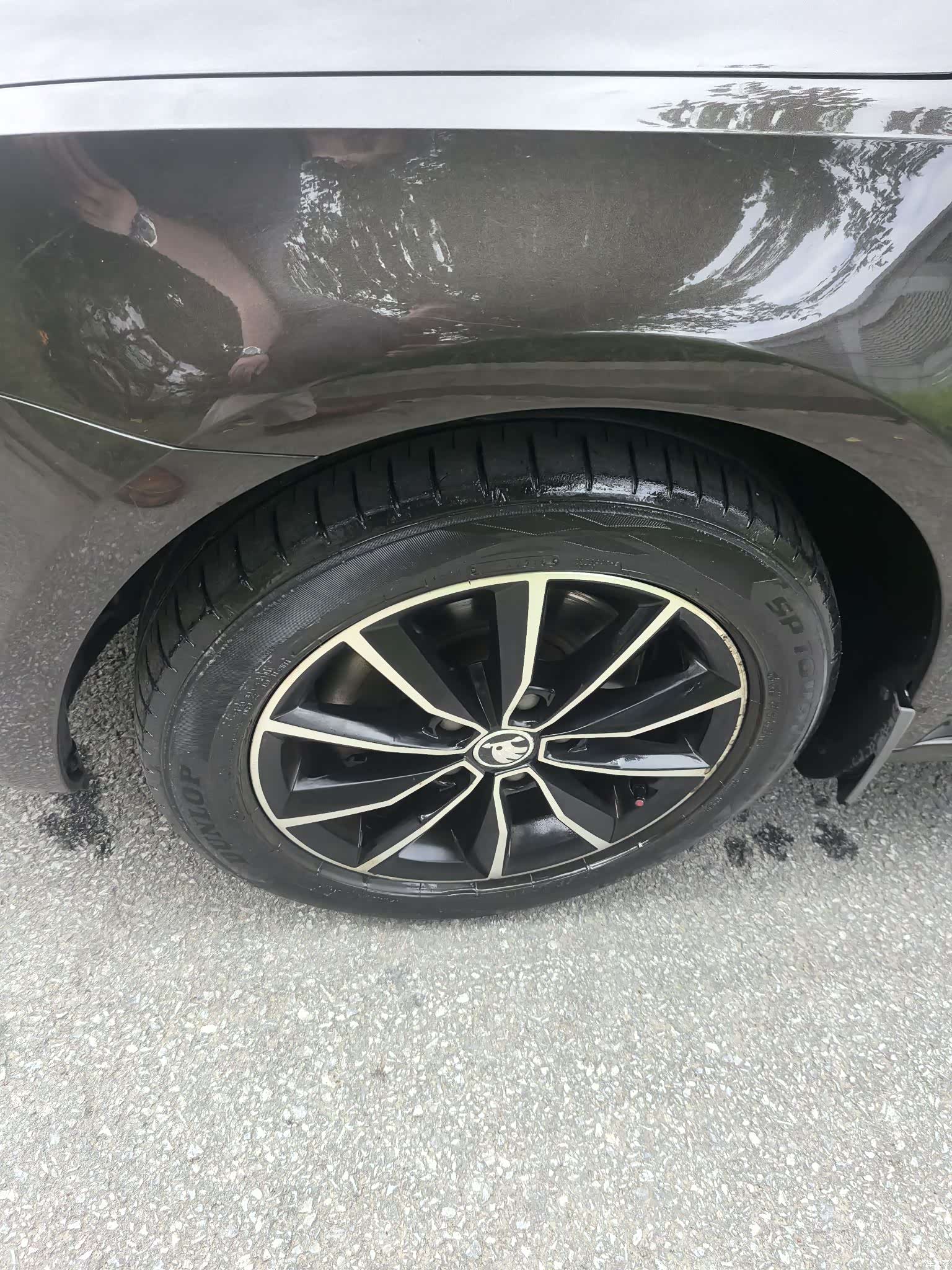 Skoda Octavia, 2017 все фото
