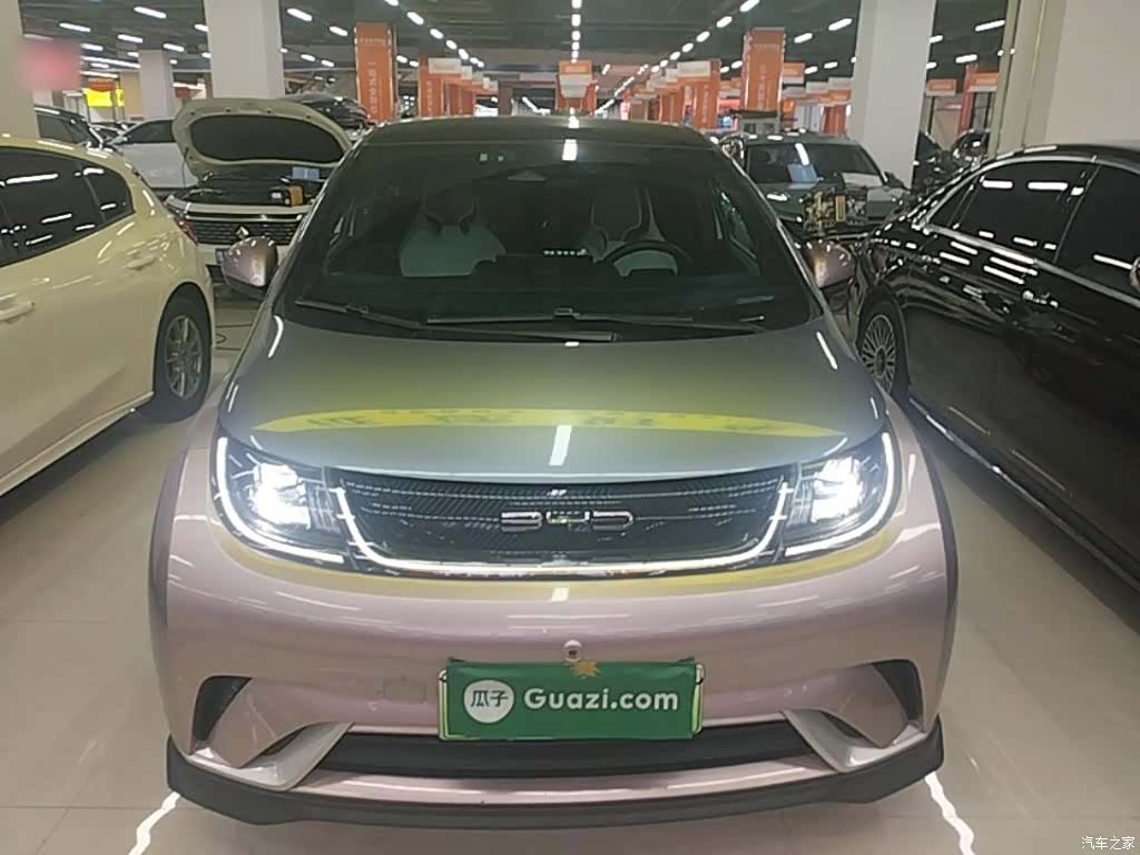 BYD Dolphin, 2022 3