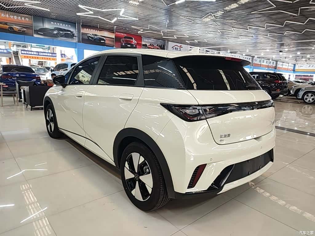BYD Dolphin, 2024 23