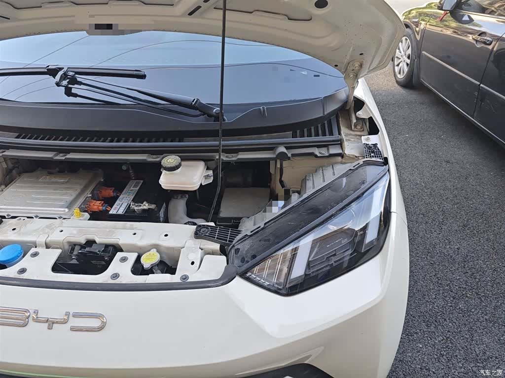 BYD Seagull, 2023 22