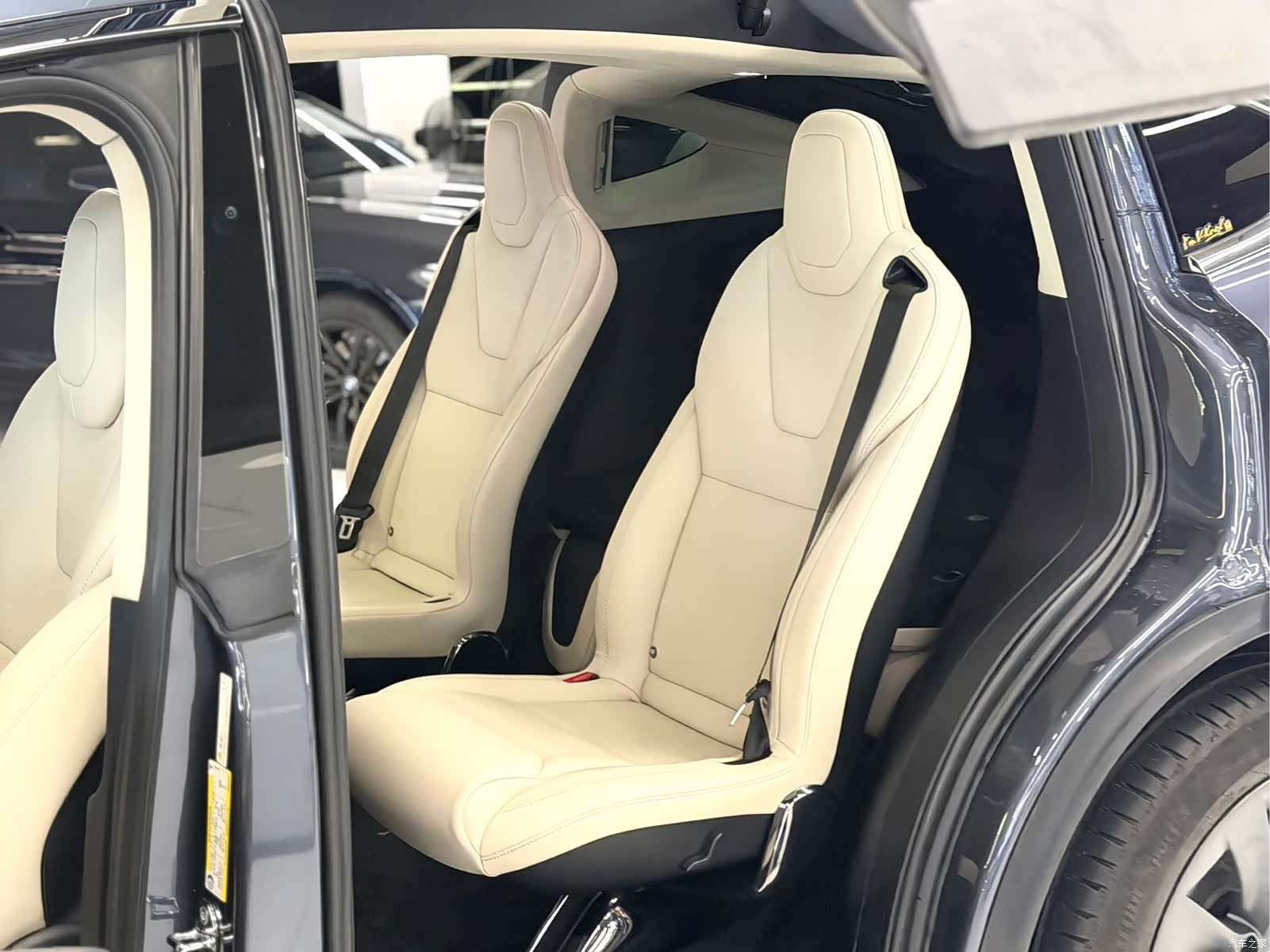 Tesla Model X, 2018 10