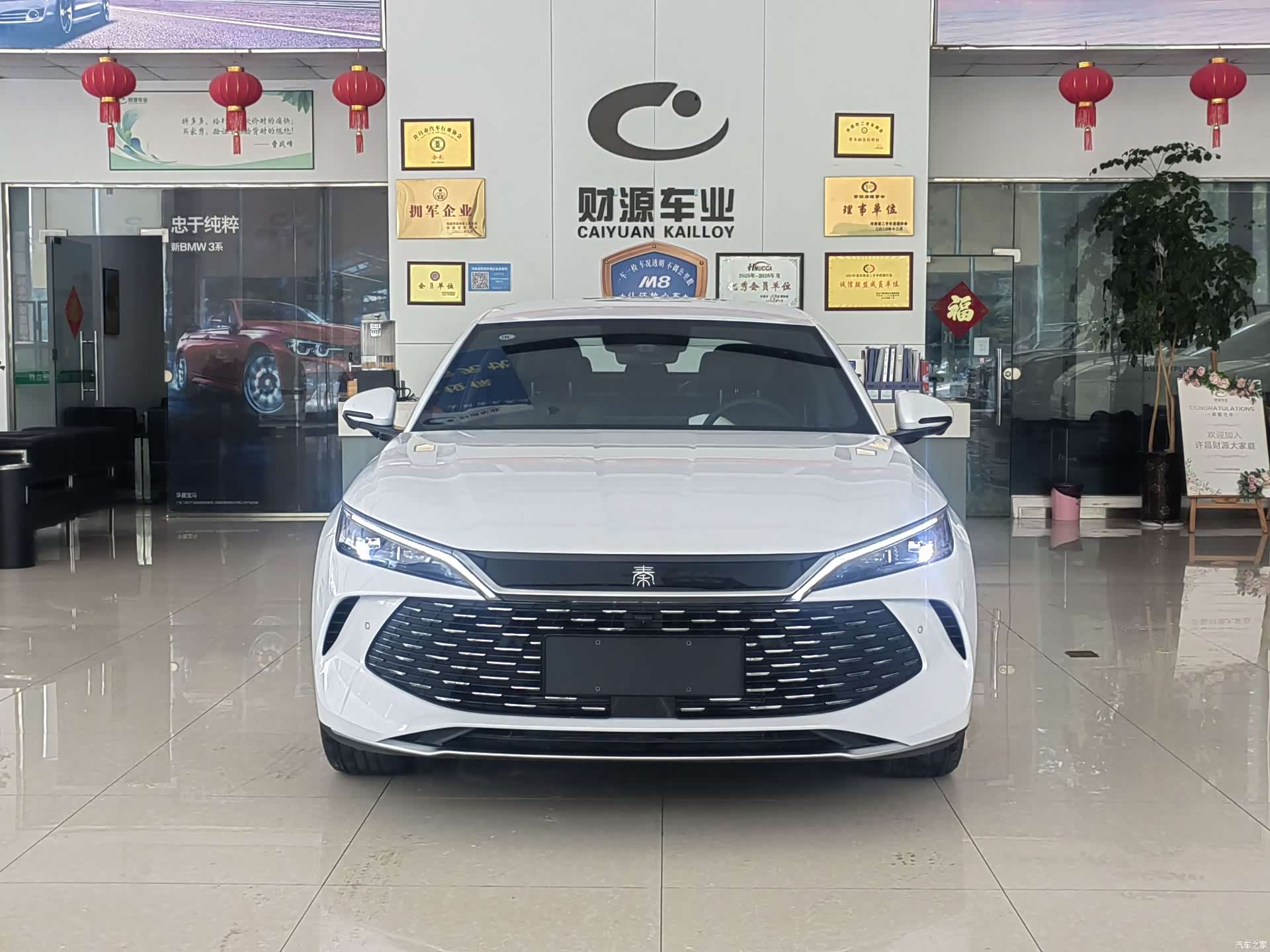 BYD Qin, 2026 2