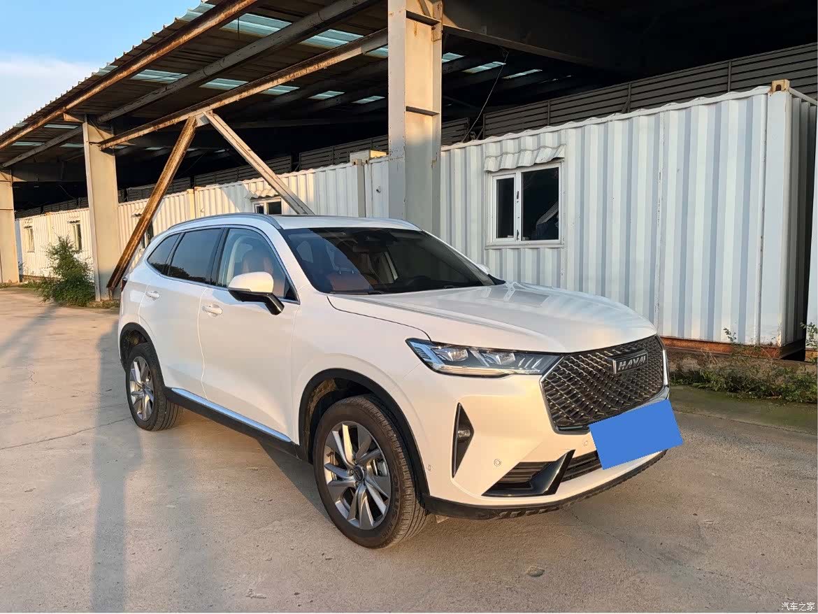 Haval H6, 2020 все фото