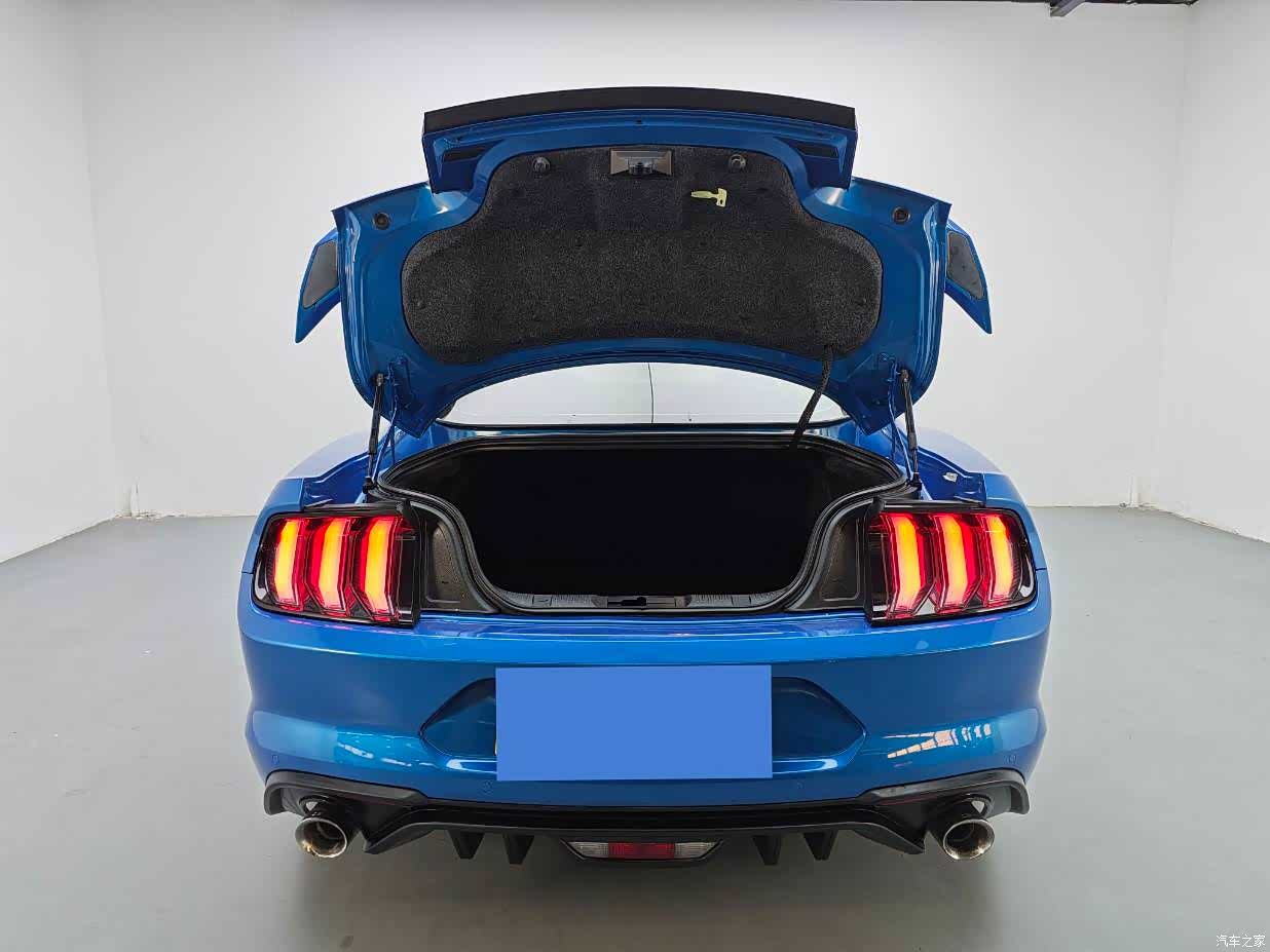 Ford Mustang, 2021 19
