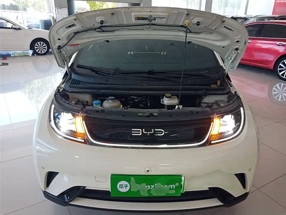 BYD dolphin BYD dolphin