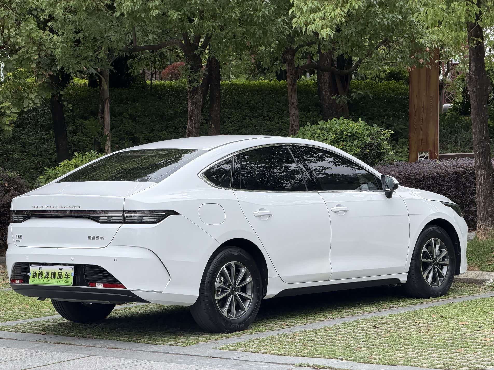BYD Destroyer 05, 2024 2