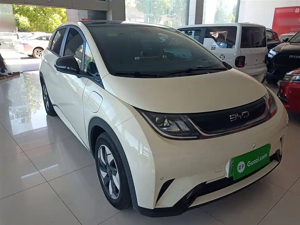 BYD dolphin BYD dolphin