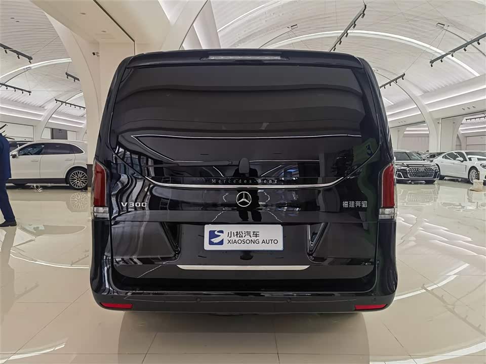 Mercedes-Benz V-class