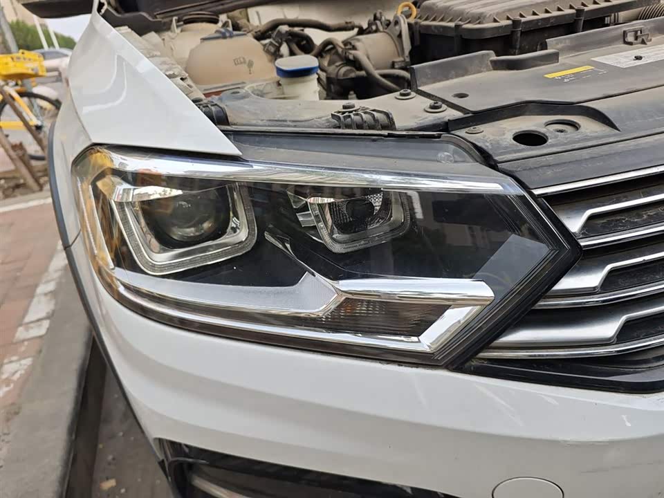 Volkswagen C-TREK Wei Collar