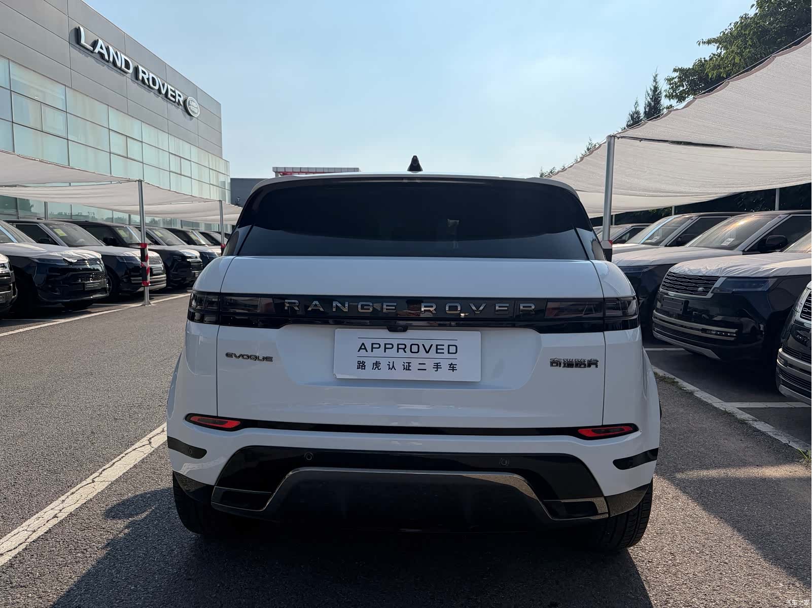 Land Rover Range Rover, 2024 все фото