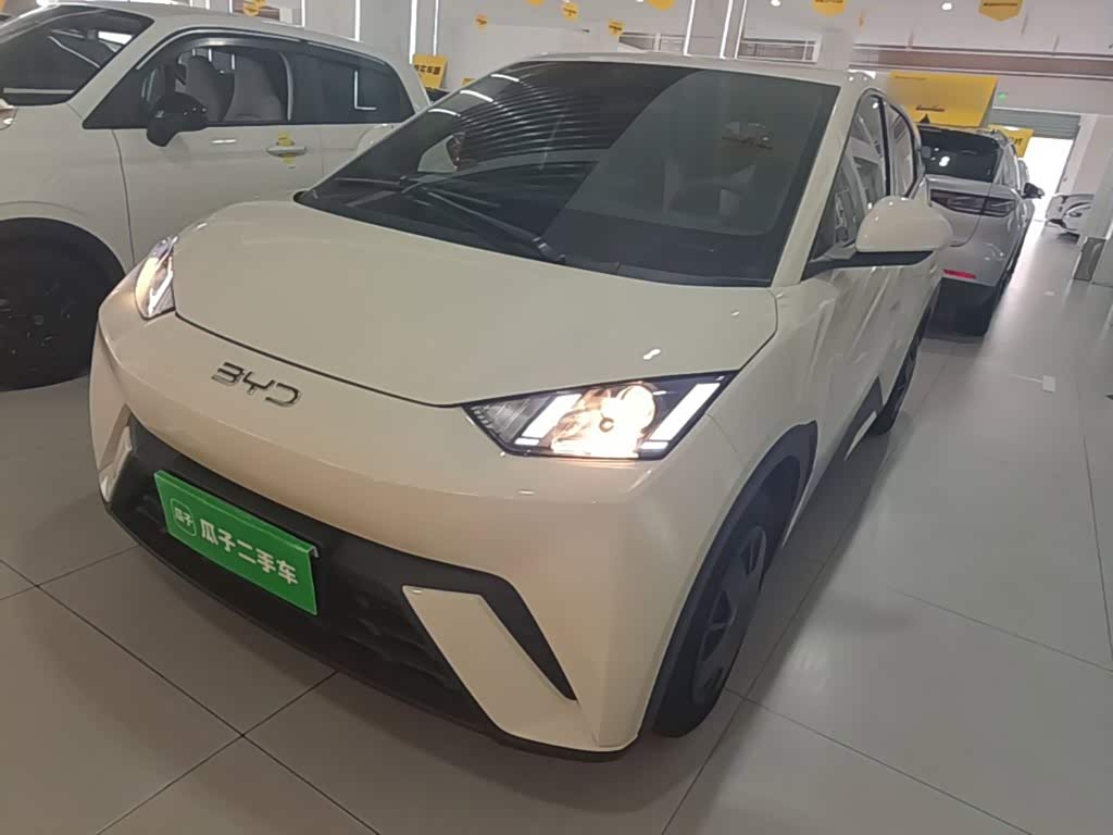 BYD Seagull