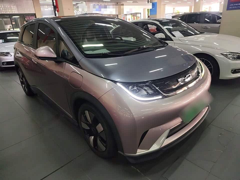 BYD dolphin BYD dolphin