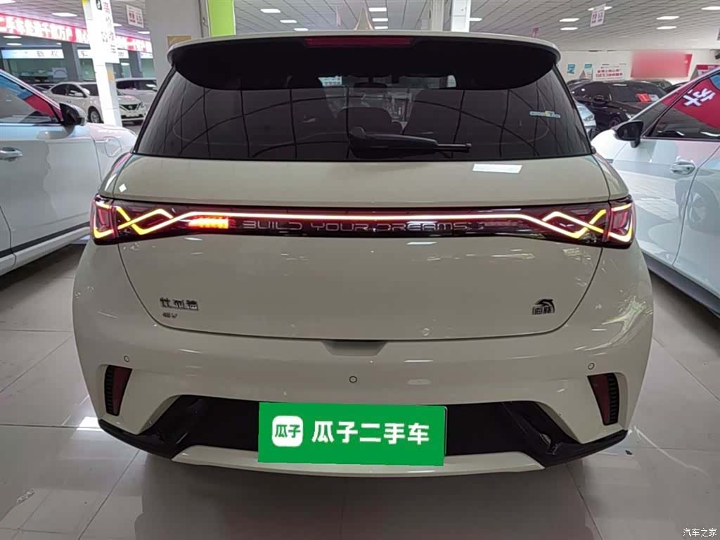 BYD Dolphin, 2023 6