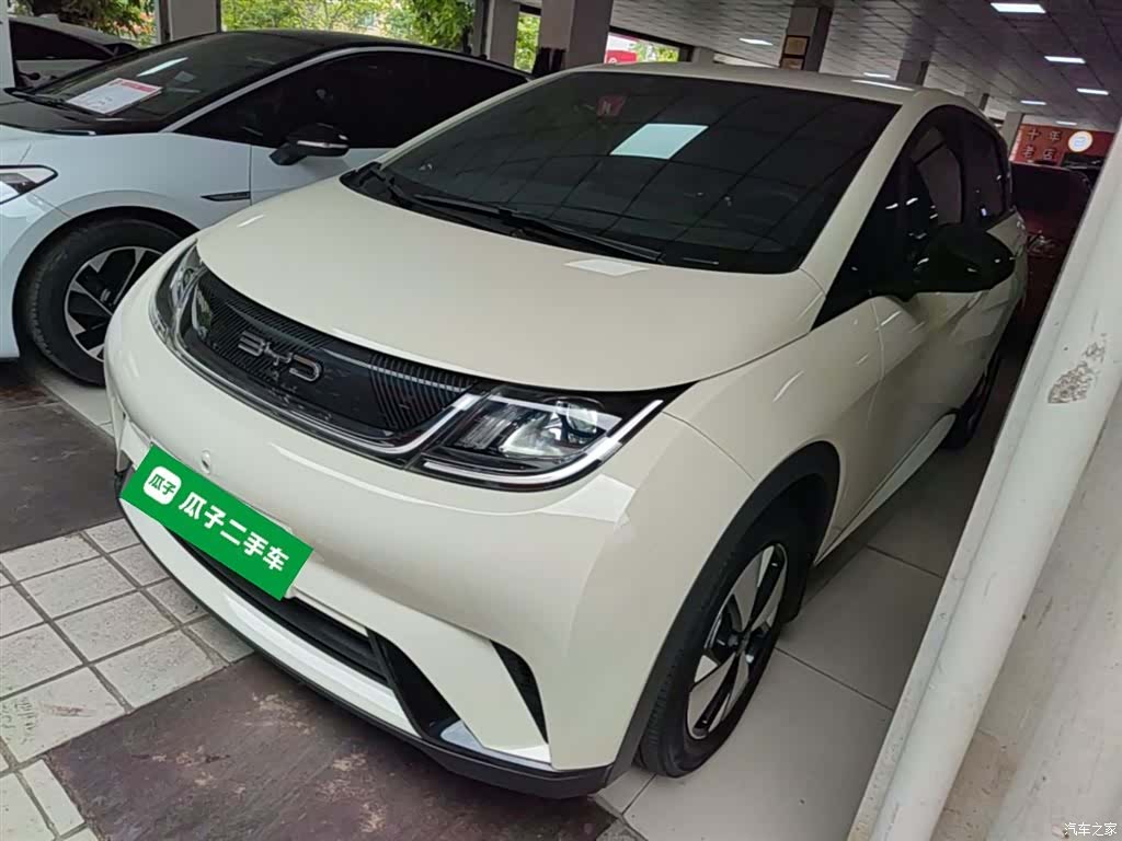 BYD Dolphin, 2023 1