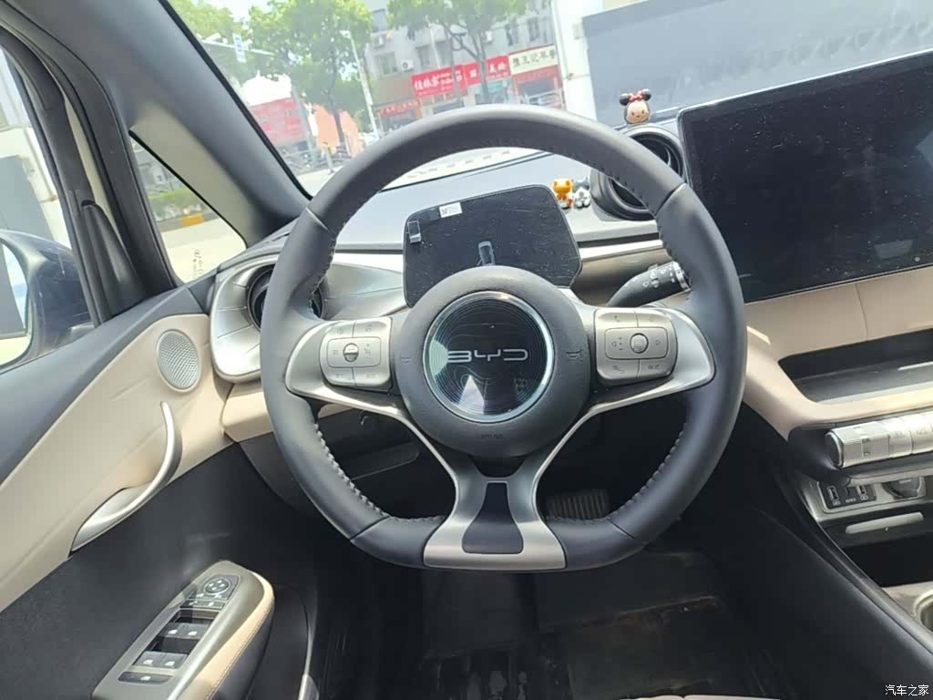BYD Dolphin, 2023 11