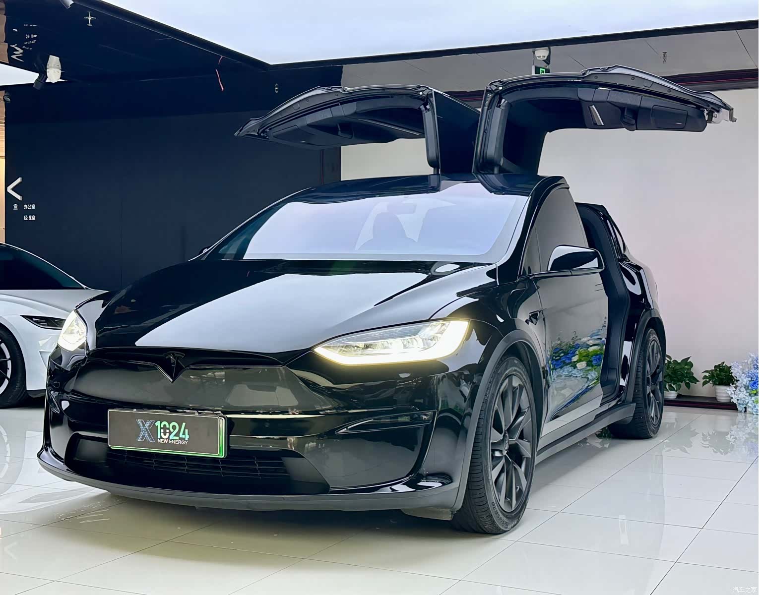 Tesla Model X, 2023 1