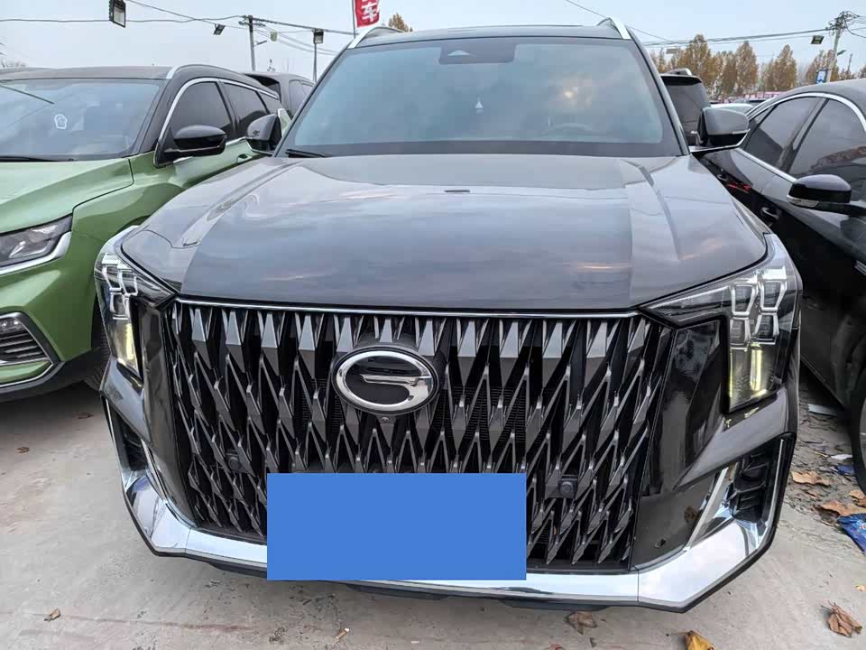 Trumpchi Trumpchi GS8