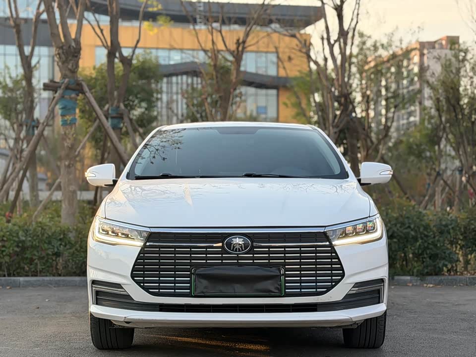BYD Qinxin Energy