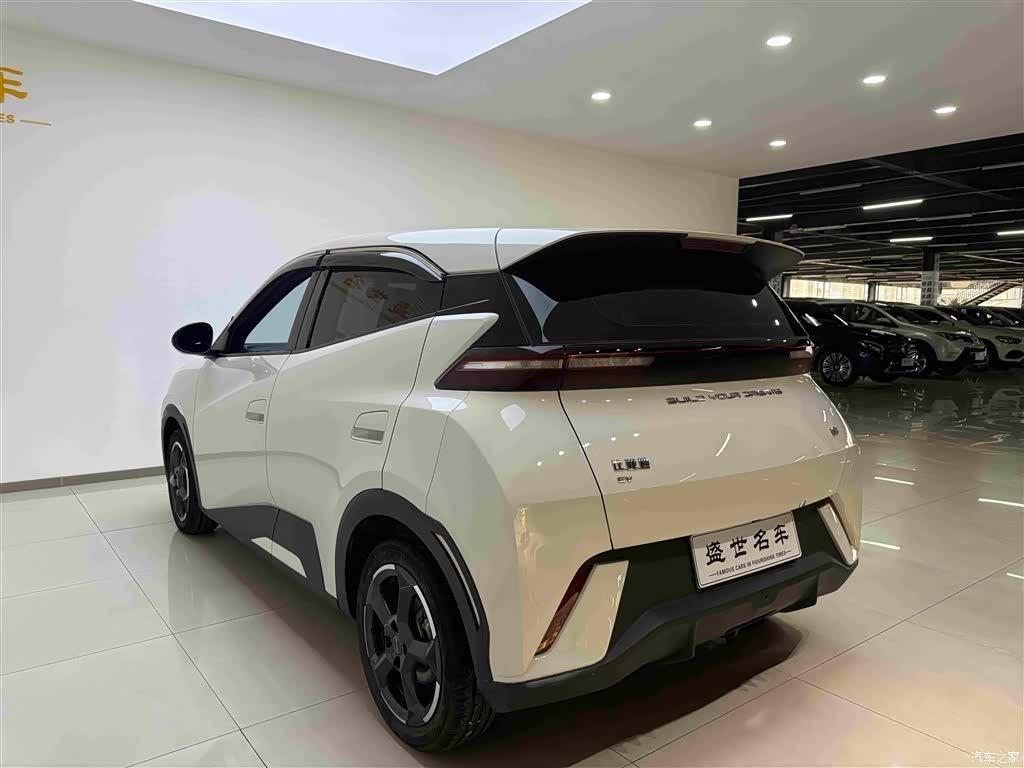 BYD Seagull, 2024 17