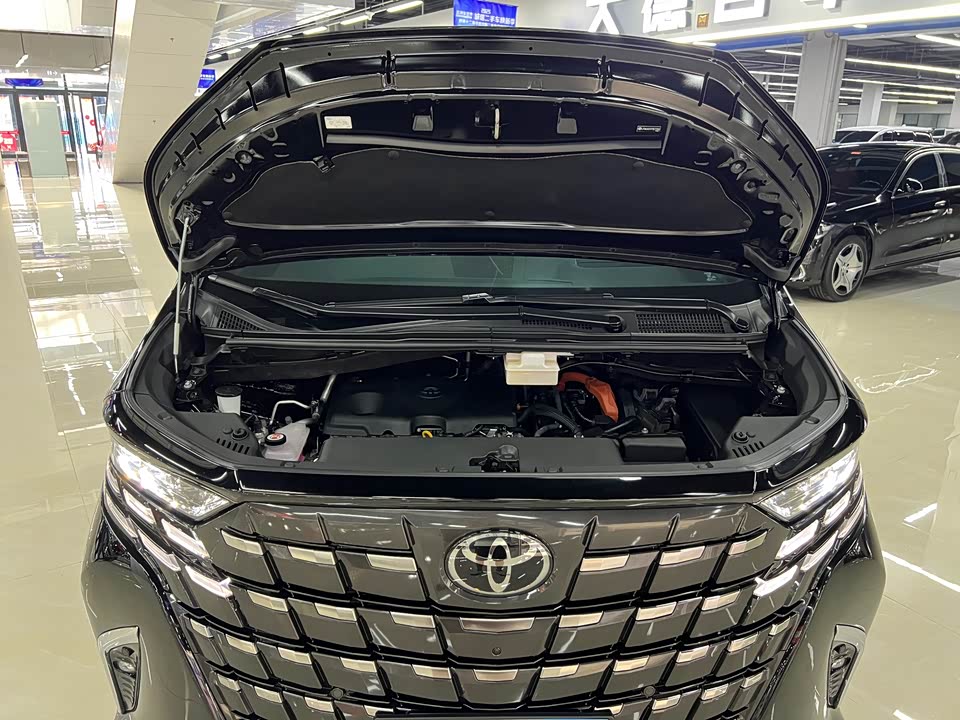 Toyota Elfa