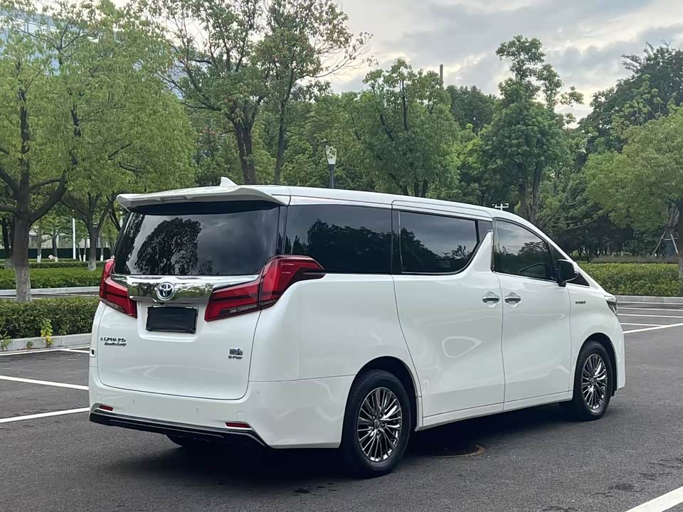 Toyota Elfa