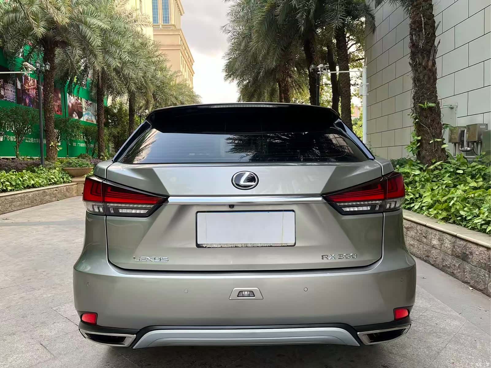 Lexus RX, 2020 4