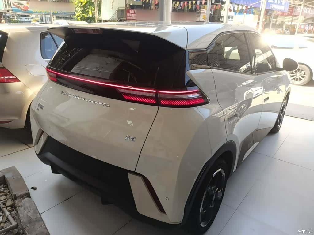 BYD Seagull, 2024 7