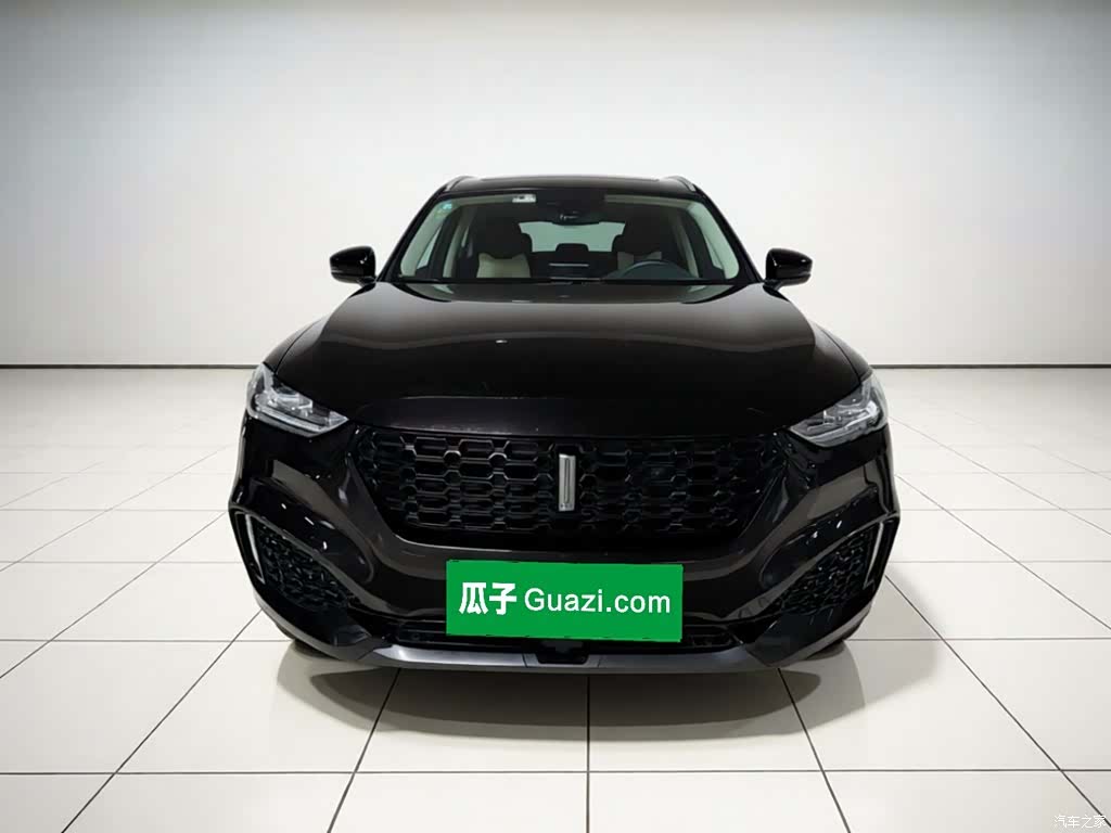 WEY VV6, 2019 24
