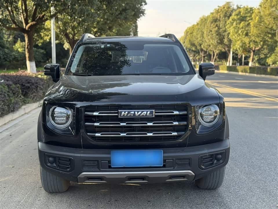 Haval Big dog