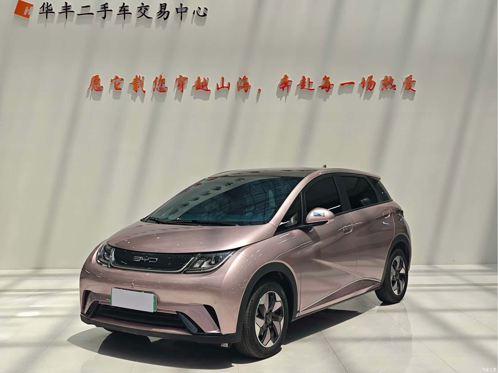 BYD Dolphin, 2024 1