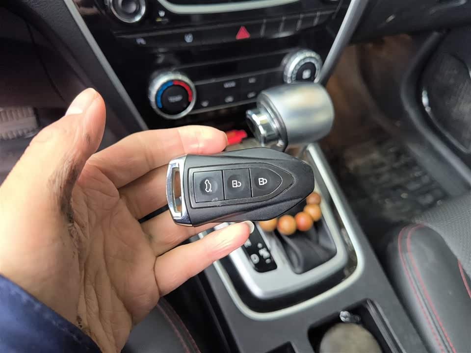 Leopaard Cheetah CS10