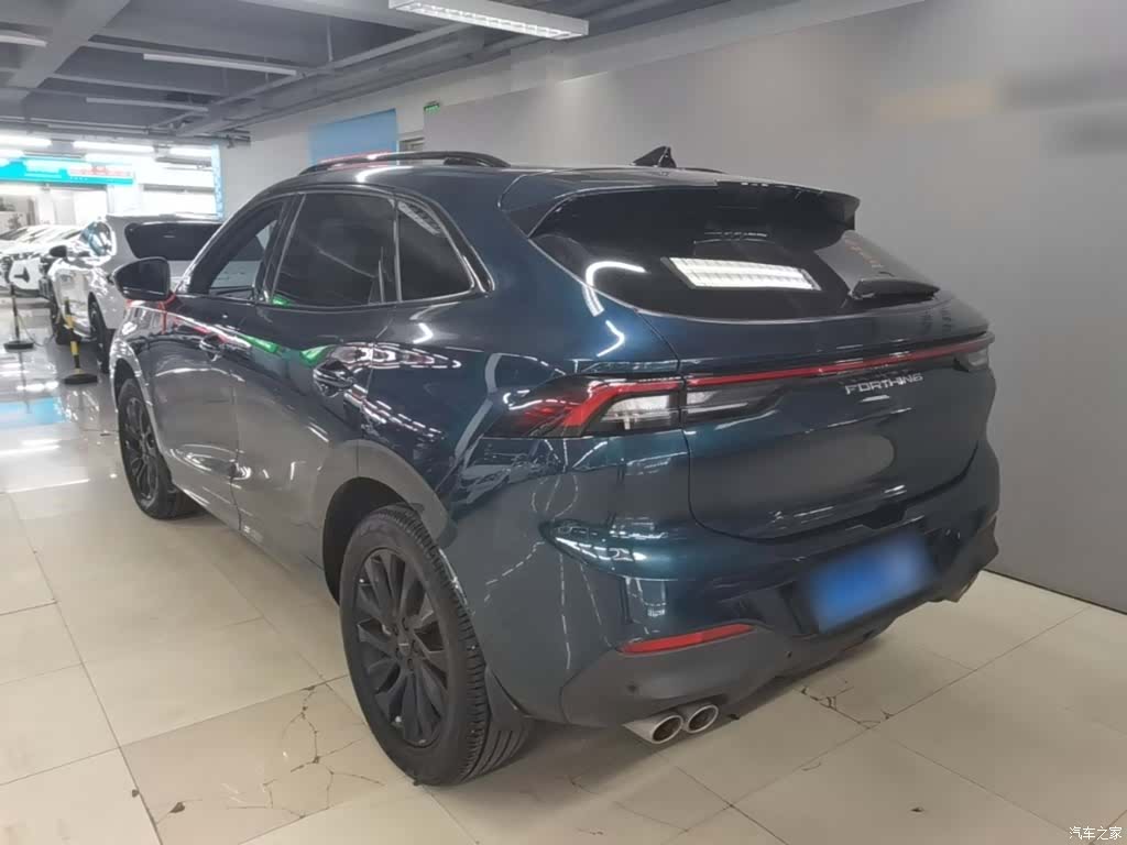 DongFeng T5, 2021 все фото