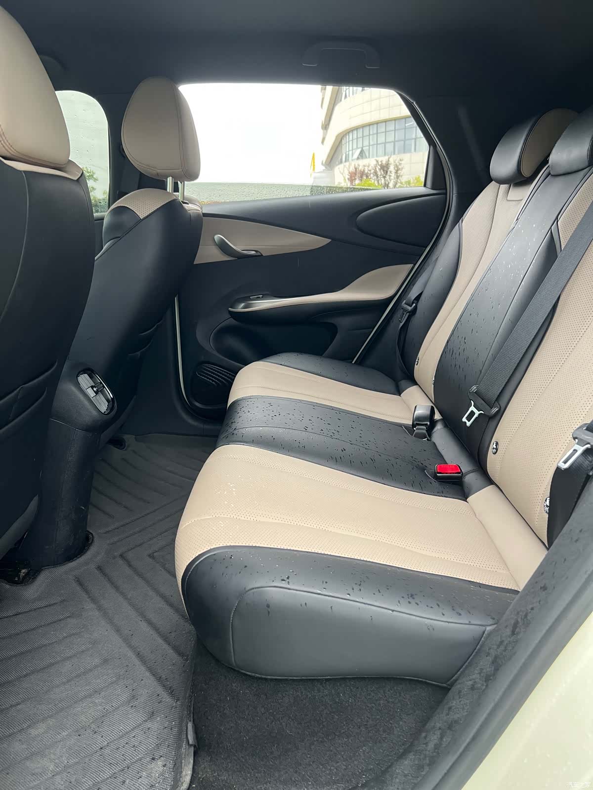 BYD Dolphin, 2025 7