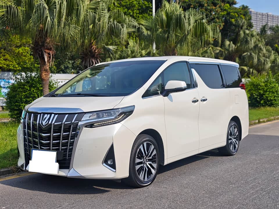 Toyota Elfa