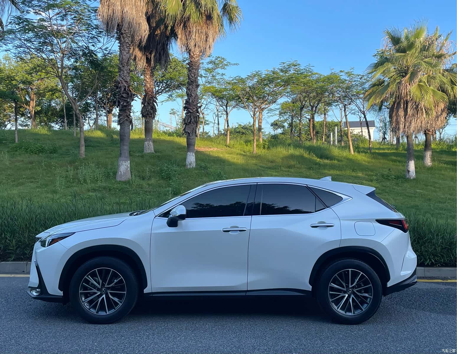 Lexus NX, 2022 3