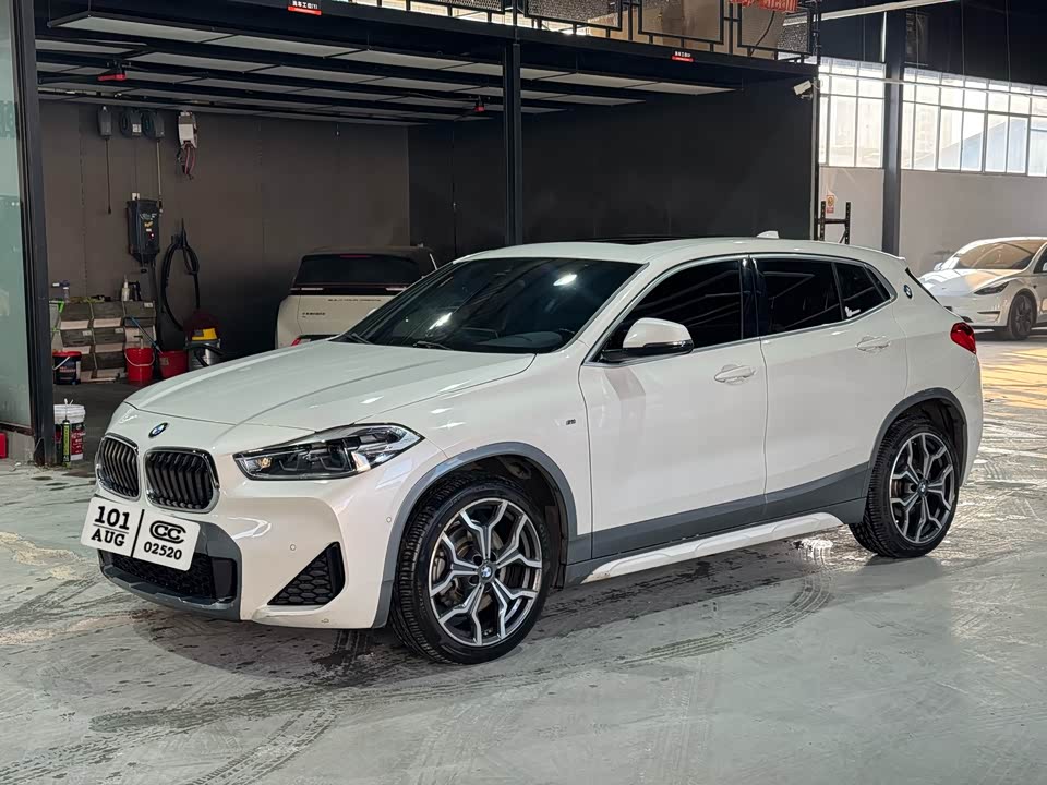 BMW X2
