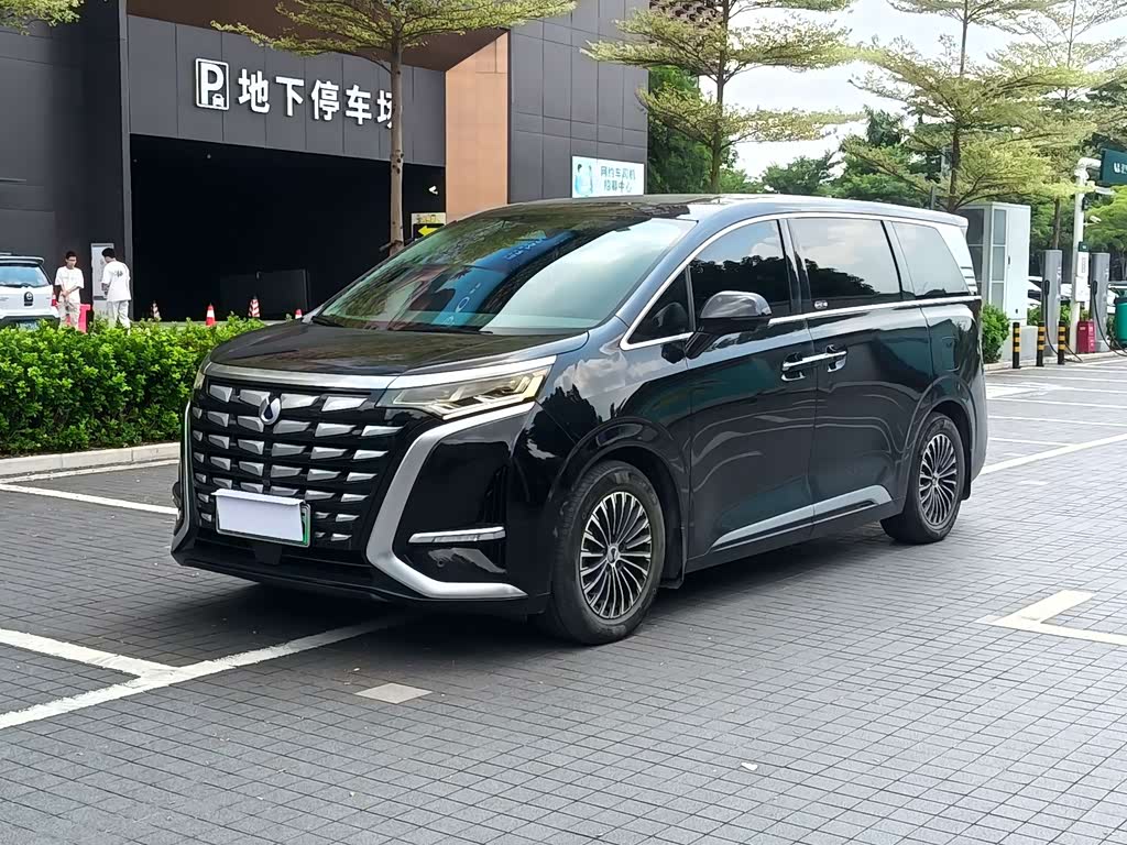 Denza D9