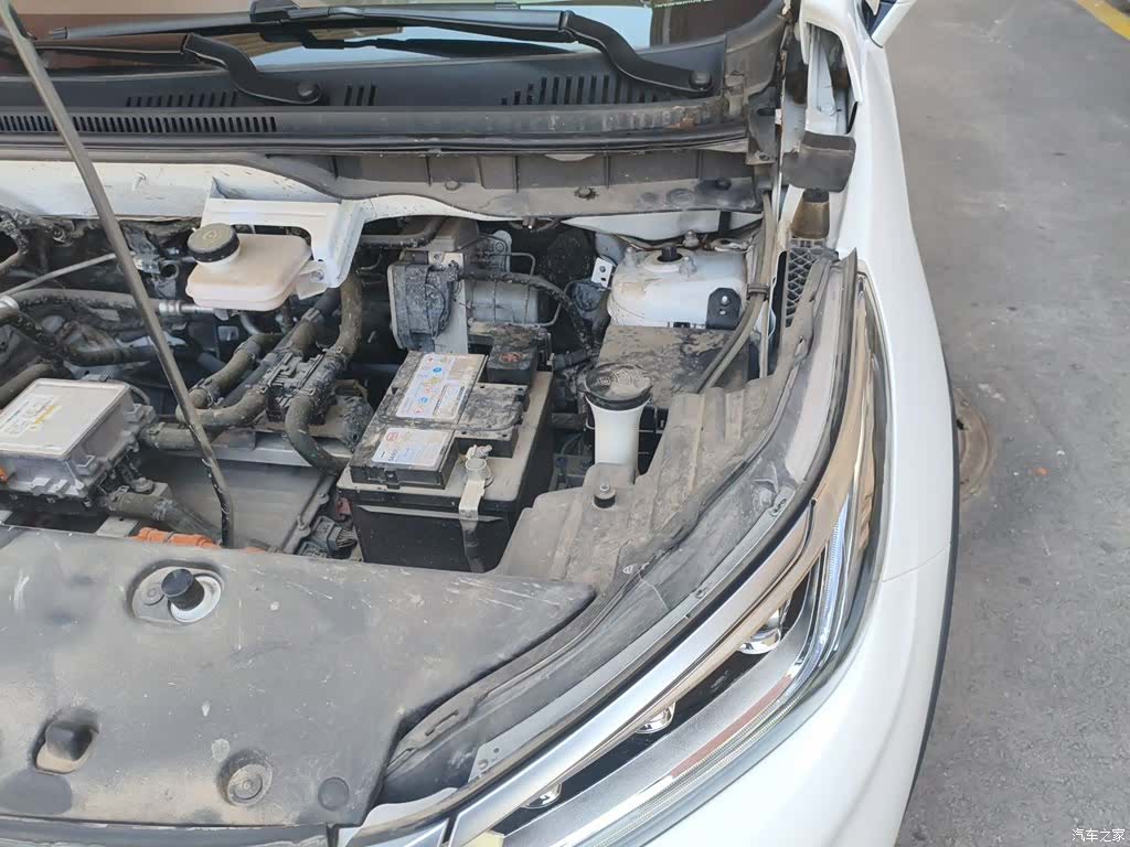 BYD Yuan, 2024 24