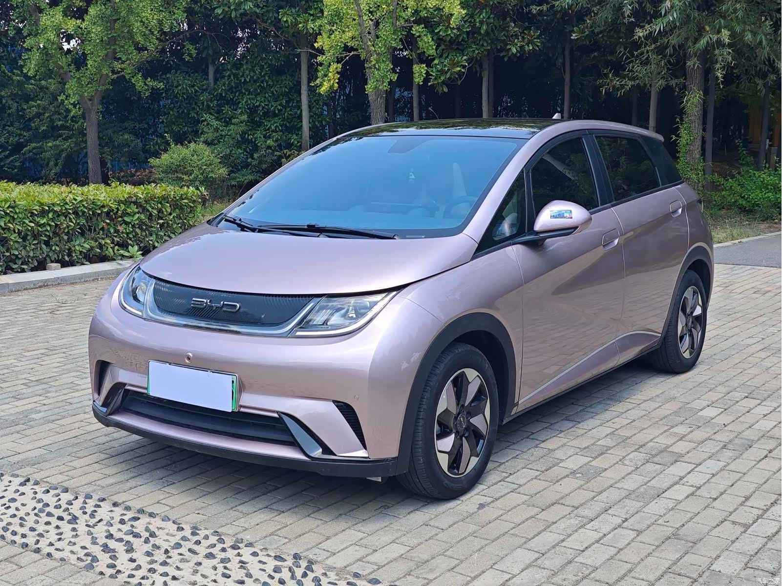 BYD Dolphin, 2024 2