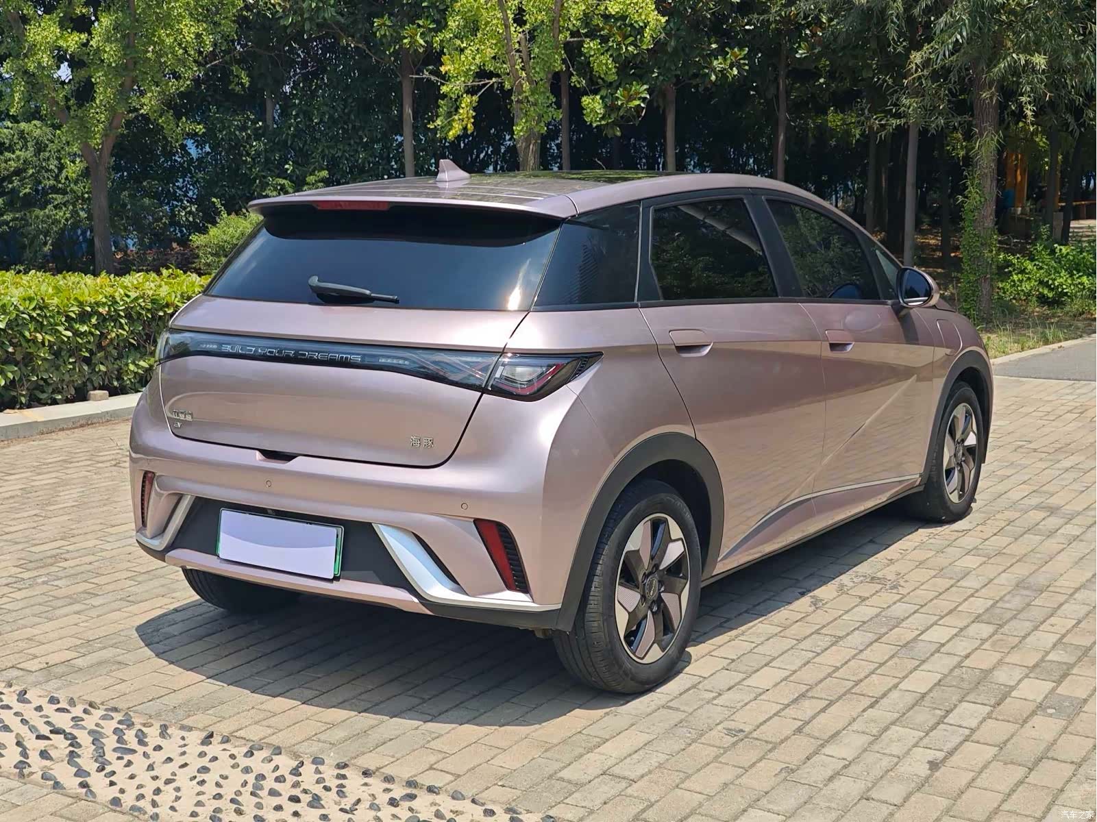 BYD Dolphin, 2024 8