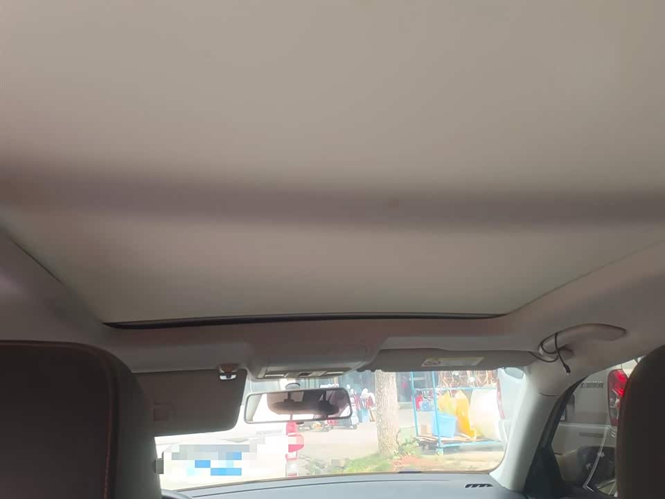 Volkswagen C-TREK Wei Collar