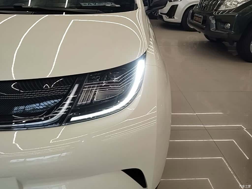 BYD Dolphin, 2024 24