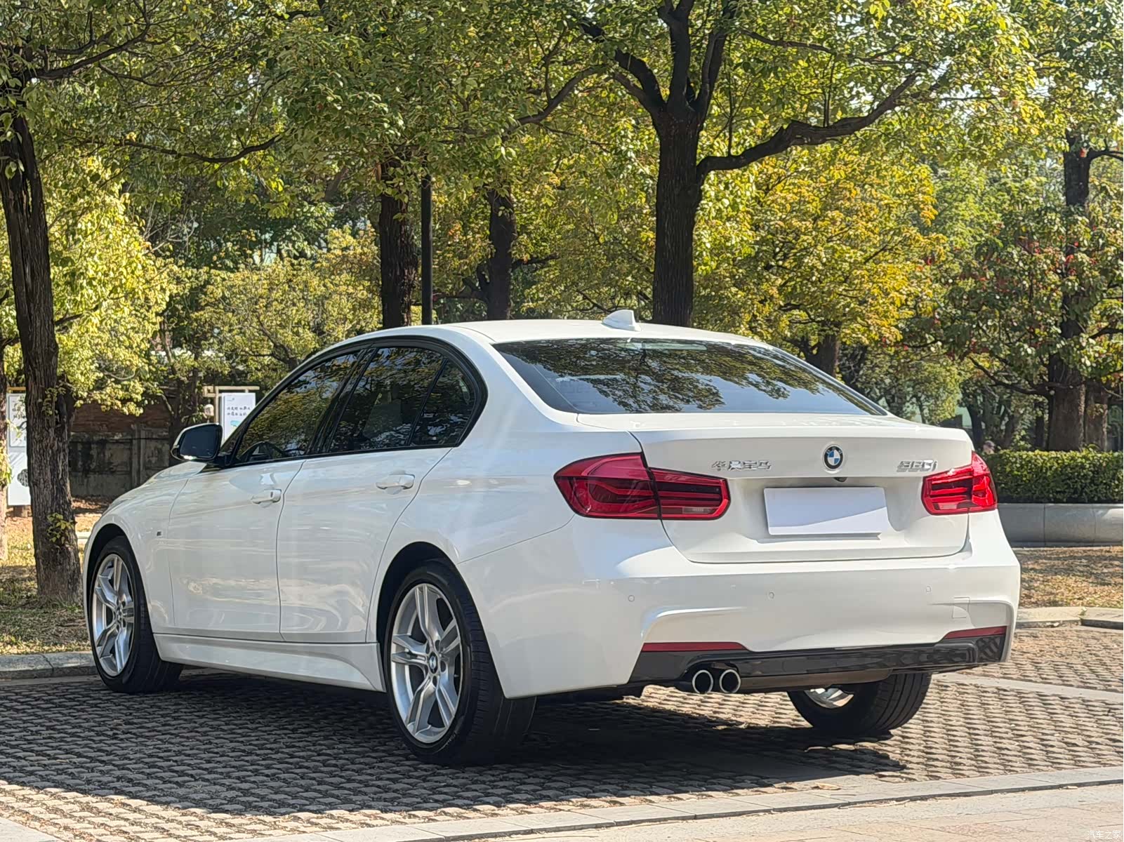 BMW 3 Series, 2017 20