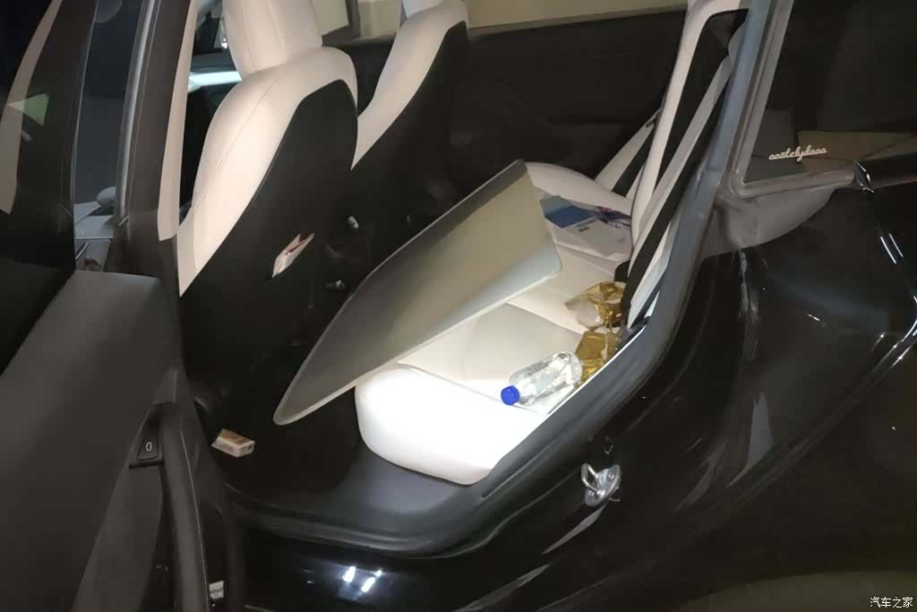 Tesla Model 3, 2021 11
