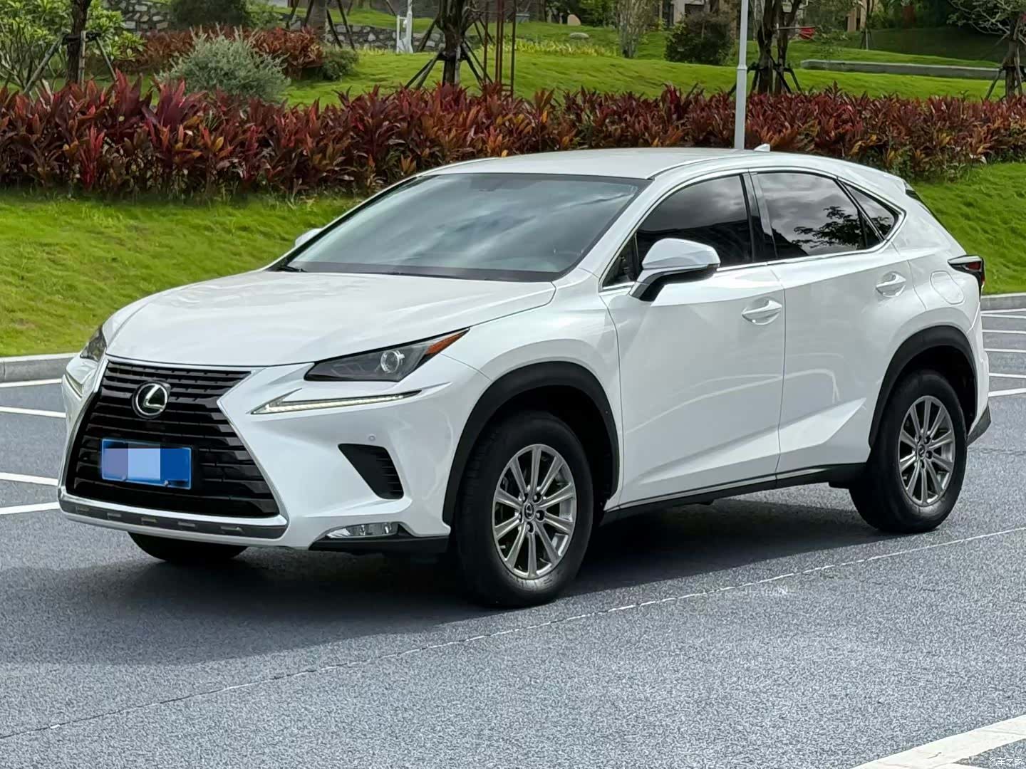 Lexus NX, 2019 1