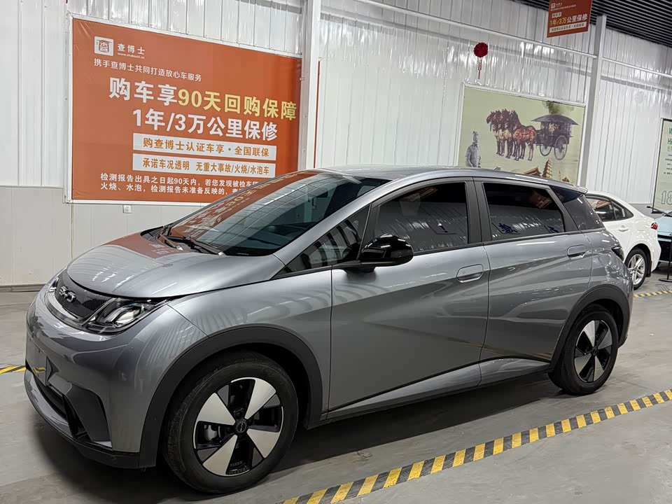 BYD dolphin