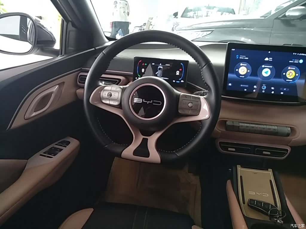 BYD Seagull, 2024 11